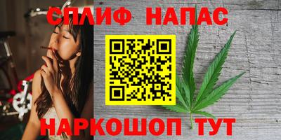ешки Будённовск