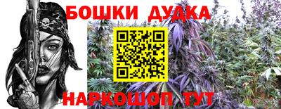 ешки Будённовск