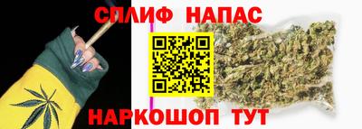 ешки Будённовск